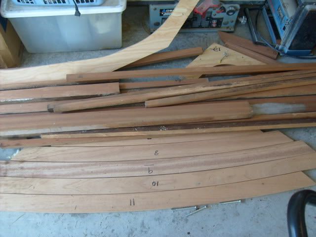 S6300269.jpg