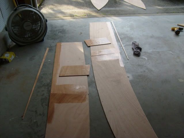 S6300281.jpg