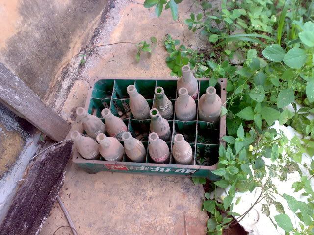 รูปภาพ