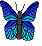 Butterflly.png
