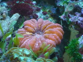 DSC00107.jpg