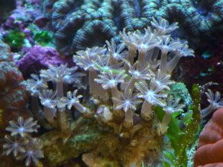 DSC00134.jpg