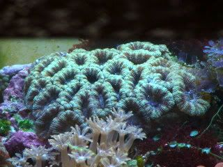 DSC00136.jpg
