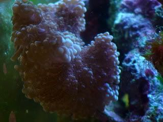 DSC00142.jpg