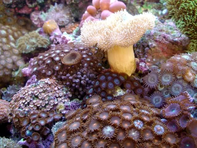 DSC00466.jpg