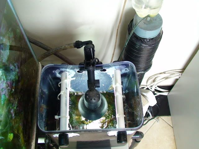 DSC00473.jpg