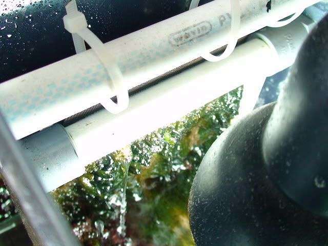 DSC00474.jpg