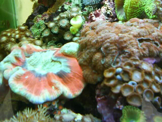 DSC00563-1.jpg