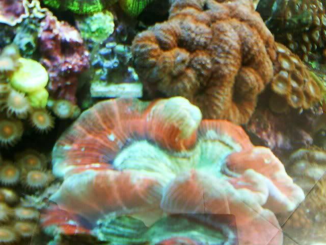DSC00565-1.jpg