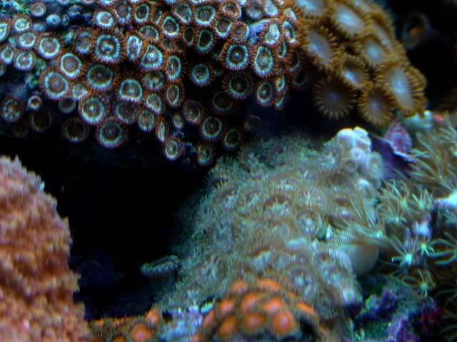 DSC00566.jpg