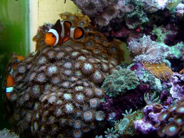 DSC00571.jpg