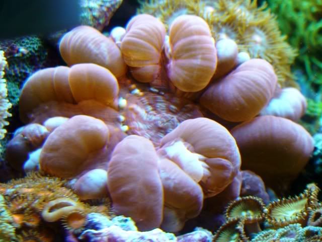 DSC00636.jpg
