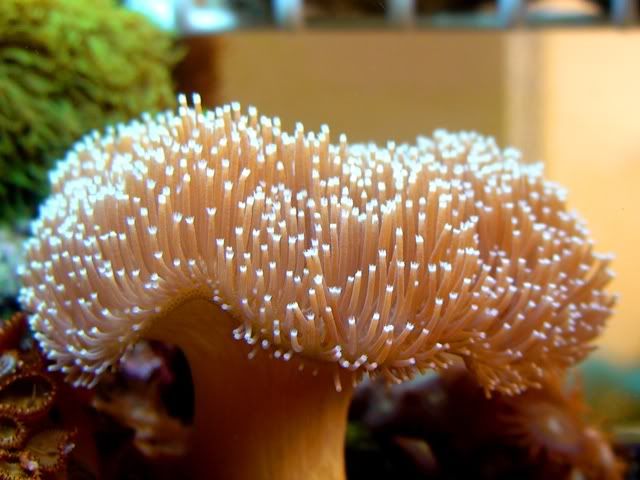 DSC00637.jpg