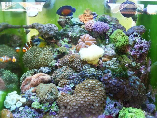 FTS091216.jpg