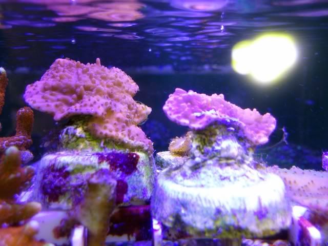 DSC_0069_fx.jpg