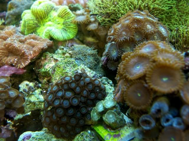 P1020407.jpg