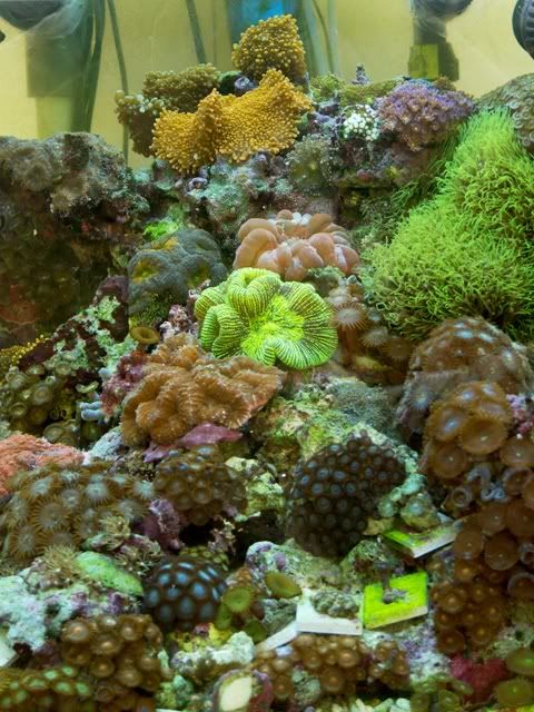 P1020420.jpg
