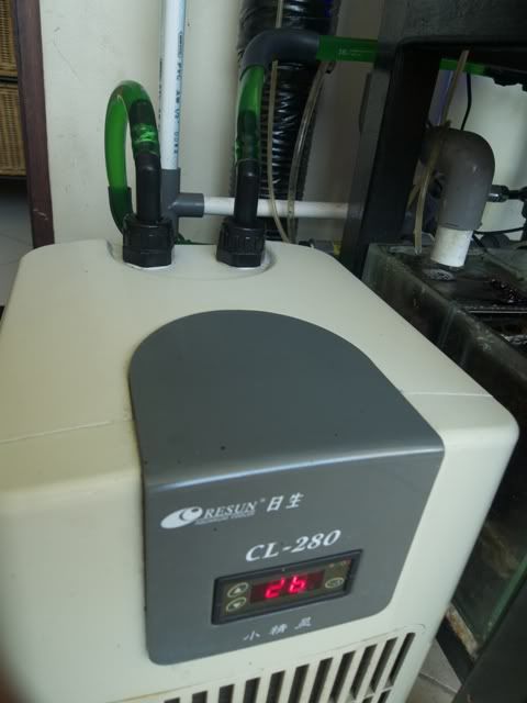 P1020421.jpg