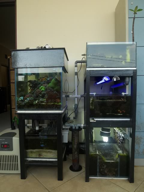 P1020423.jpg