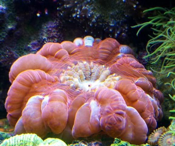 P1020840.jpg