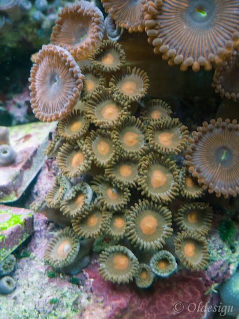 P1030918-3.jpg