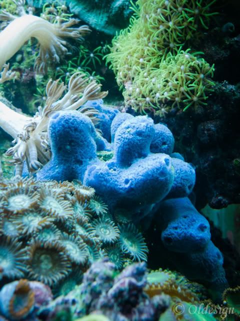 P1030919-4.jpg