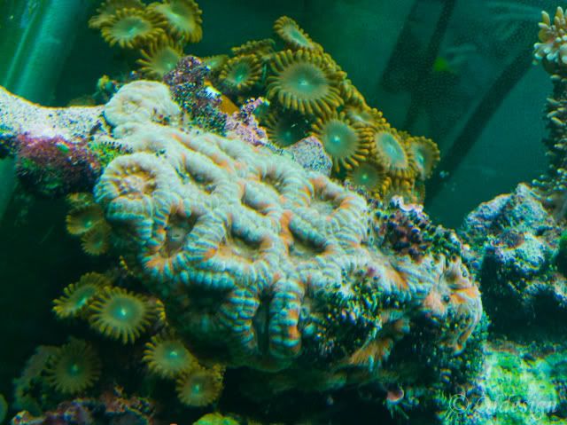 P1030928-10.jpg