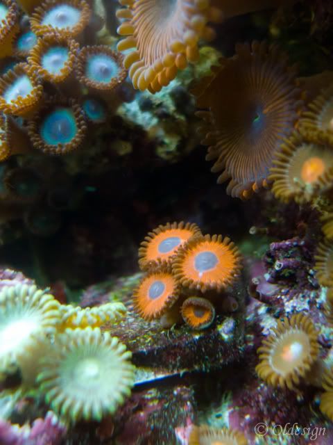 P1040745.jpg