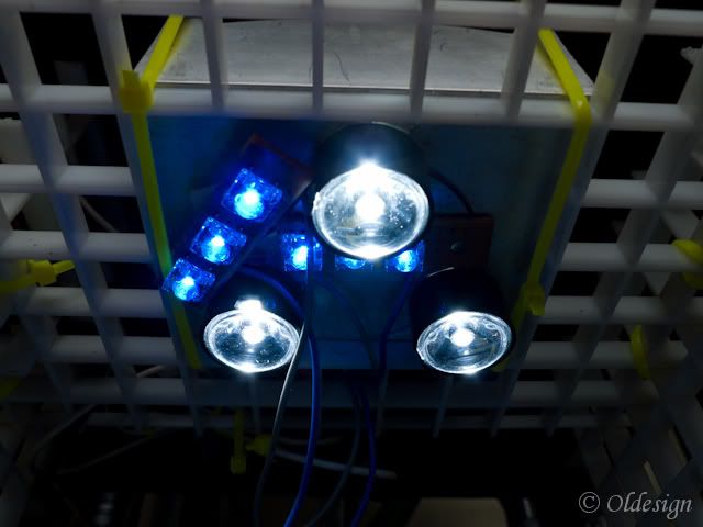 P1040774.jpg