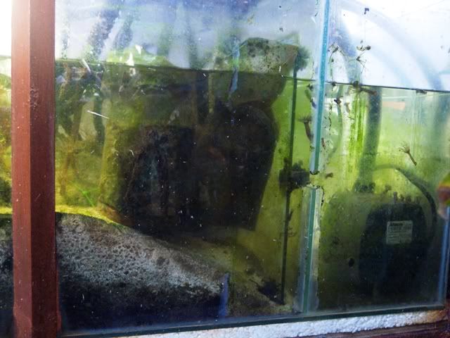 P1010350.jpg