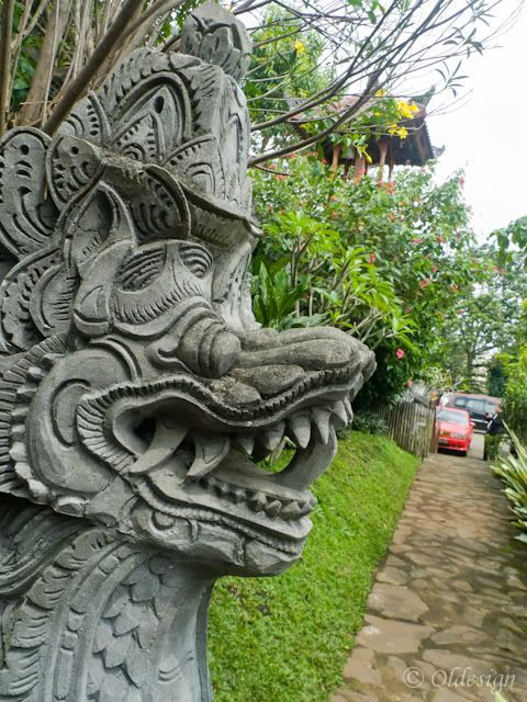 P1030648.jpg
