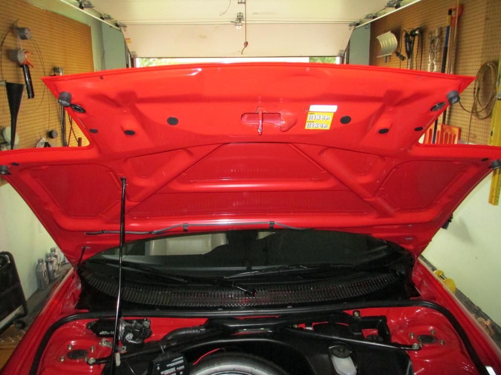 Frunk underhood photo IMG_1732.jpg