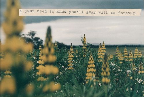 tumblr love quotes tumblr love quotes