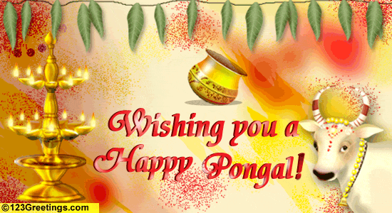 pongal photo: Happy Pongal HappyPongal.gif