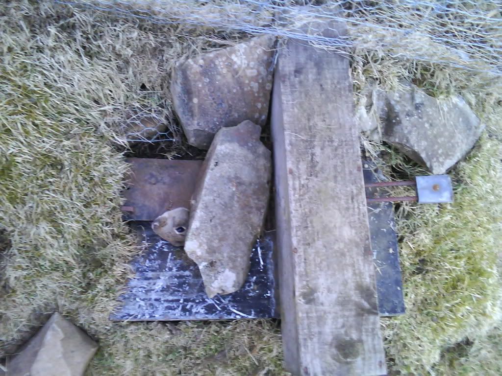 Photo0011.jpg