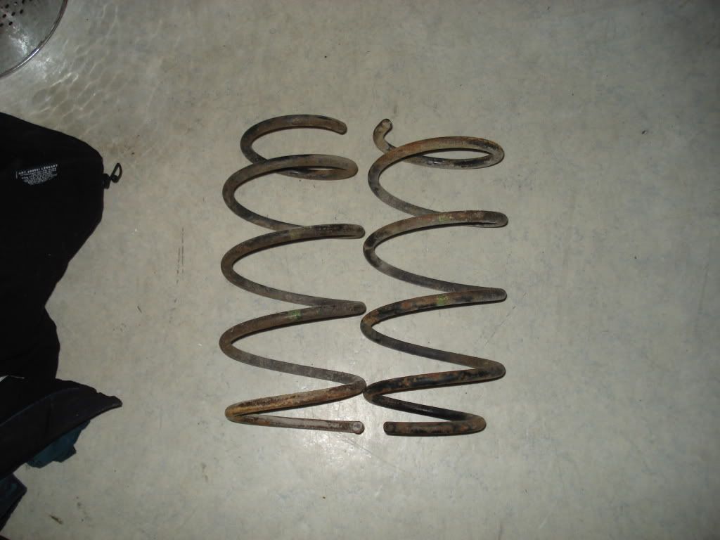 DSC02108.jpg