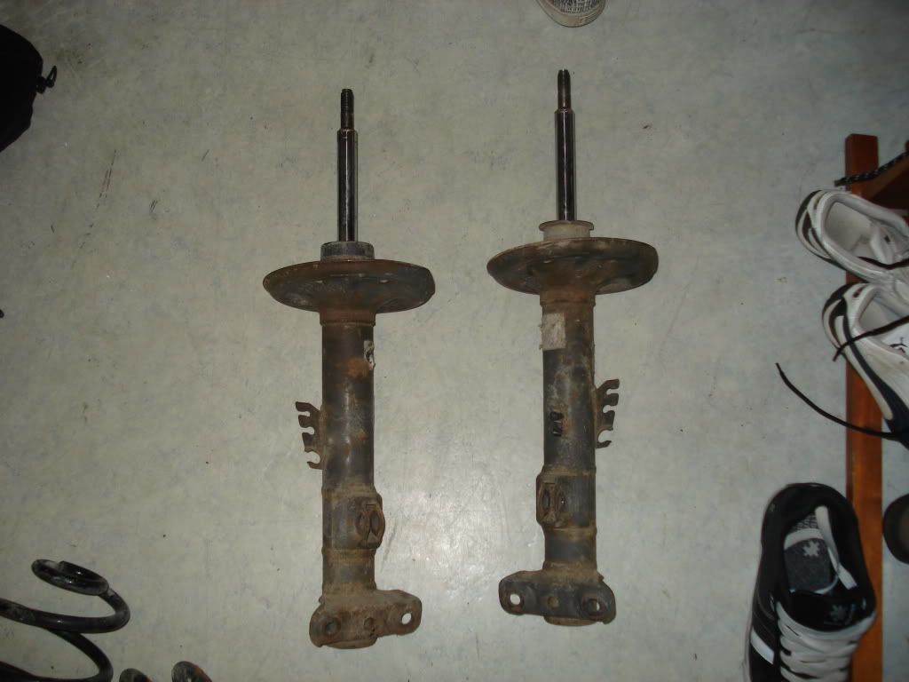 DSC02110.jpg