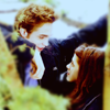 edward and bella icons Pictures, Images and Photos