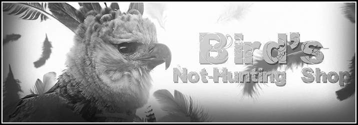 BirdBannerRequest3.png