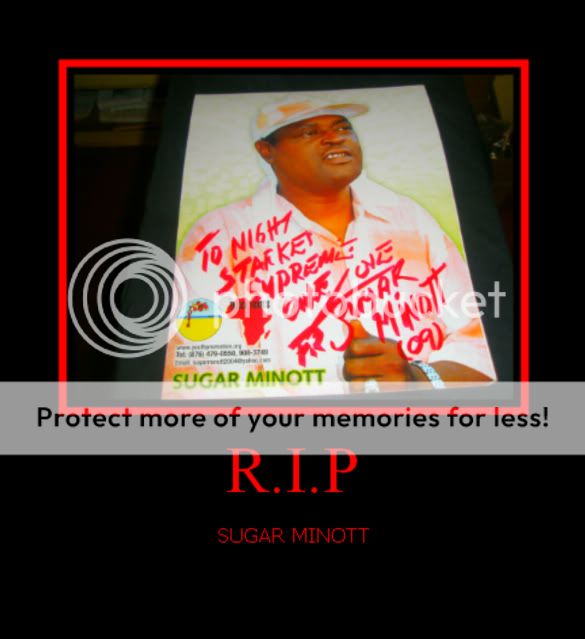 SUGAR.jpg R.I.P SUGAR picture by BRAETON7