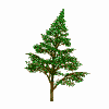 animated-gifs-trees-043
